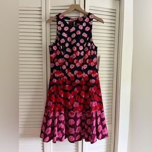 NWT Maggy London Navy Dress with Red and Pink Floral Design